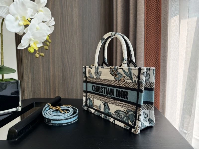 EyeCatching Christian Dior Shopping Bags 70451
