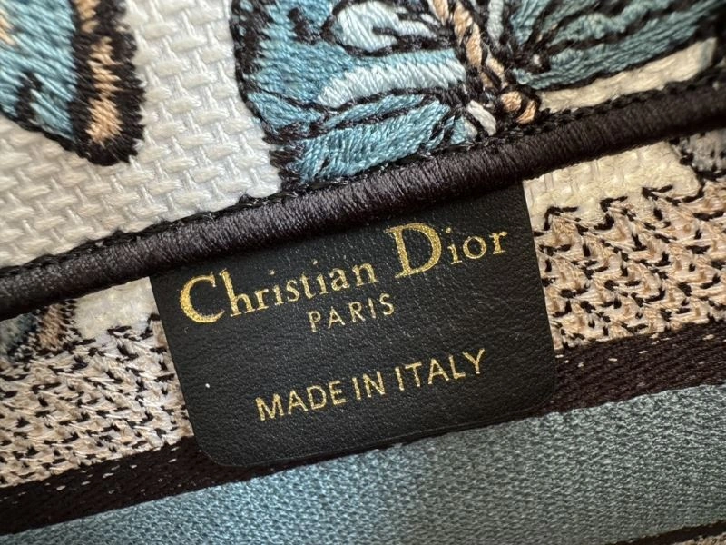 EyeCatching Christian Dior Shopping Bags 70451