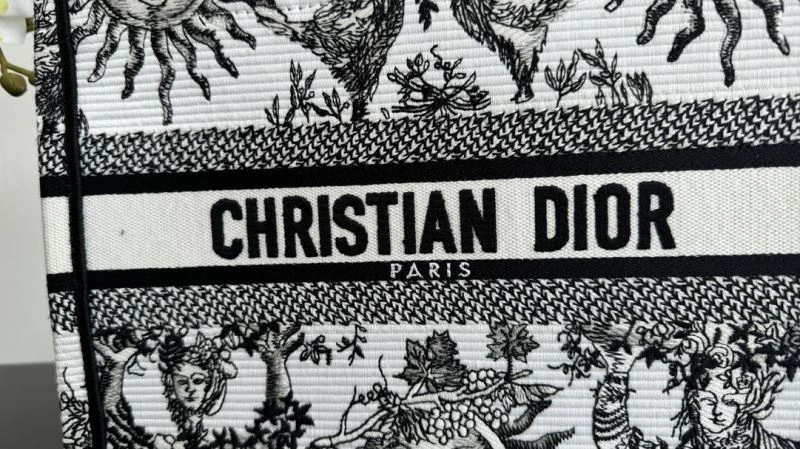Christian Dior Shopping Bags Lightweight 70420