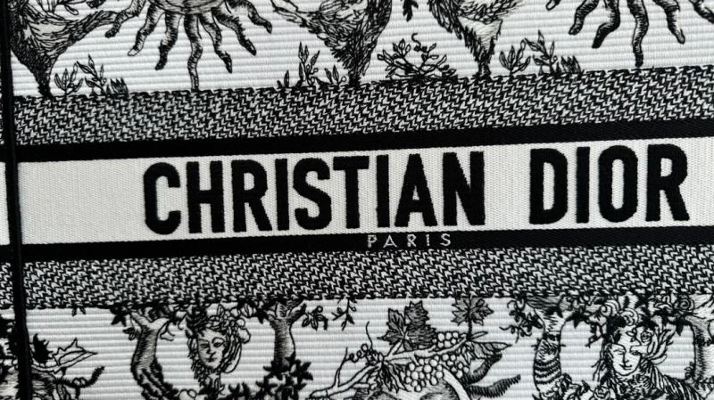 Lightweight Christian Dior Shopping Bags 70411