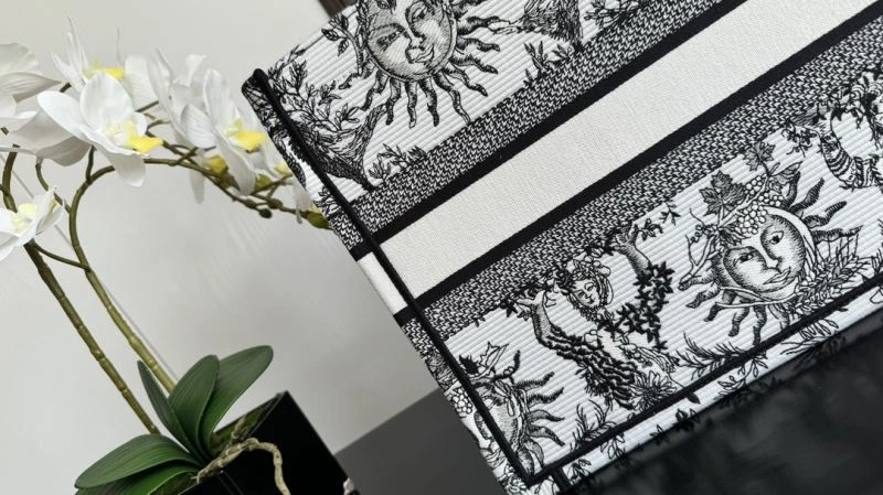 Lightweight Christian Dior Shopping Bags 70411