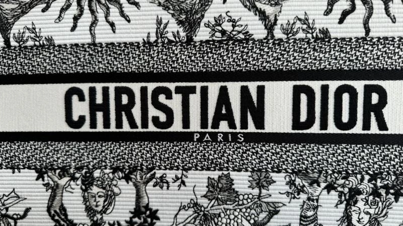Trendy Christian Dior Shopping Bags 70458