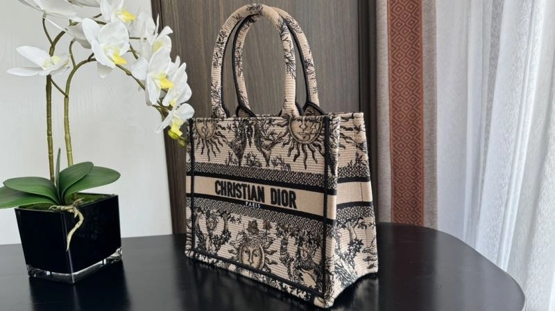 Modern Christian Dior Shopping Bags 70449