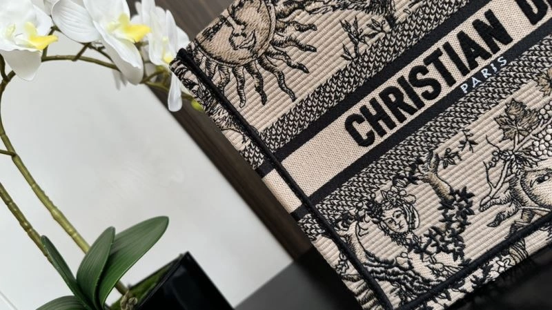 Modern Christian Dior Shopping Bags 70449
