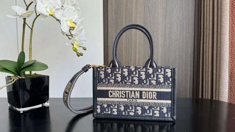 Premium Christian Dior Shopping Bags 70395