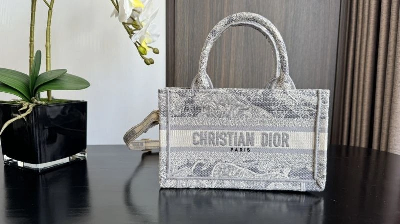 Premium Christian Dior Shopping Bags 70393