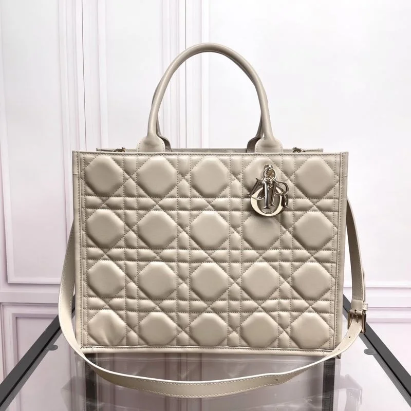 Attractive Christian Dior Shopping Bags 37697