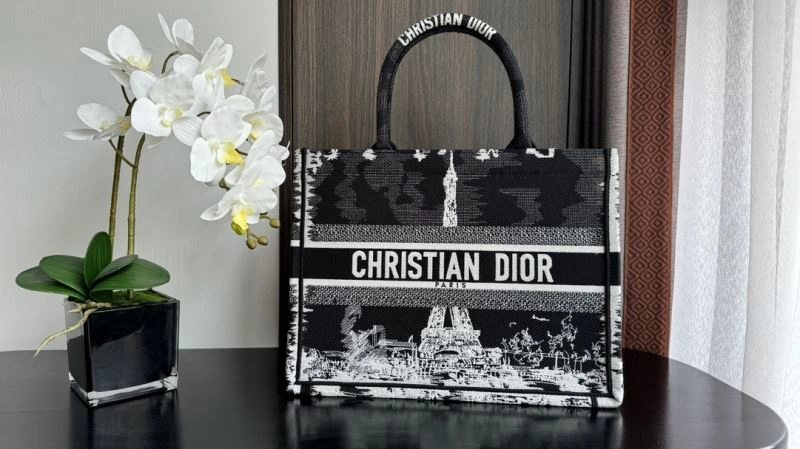 Christian Dior Shopping Bags Reliable 70369