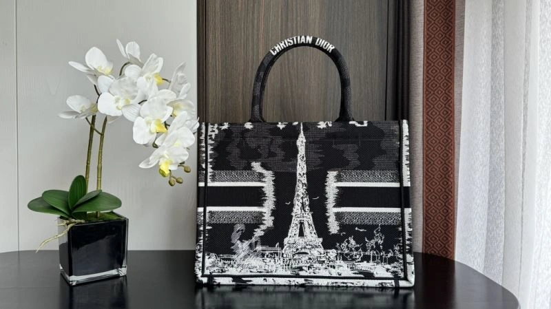 Christian Dior Shopping Bags Reliable 70369