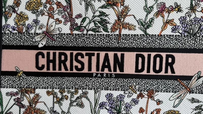 Christian Dior Shopping Bags TravelReady 70362