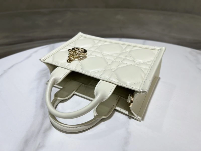 Christian Dior Shopping Bags Fashionable 70427