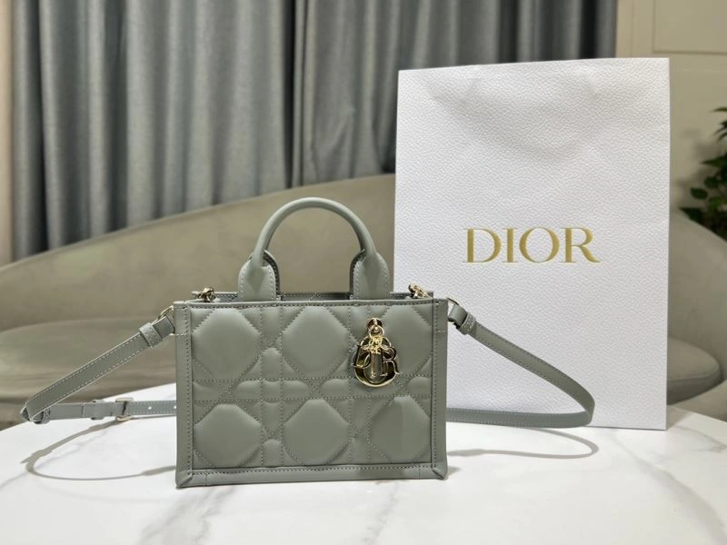 Modern Christian Dior Shopping Bags 70357