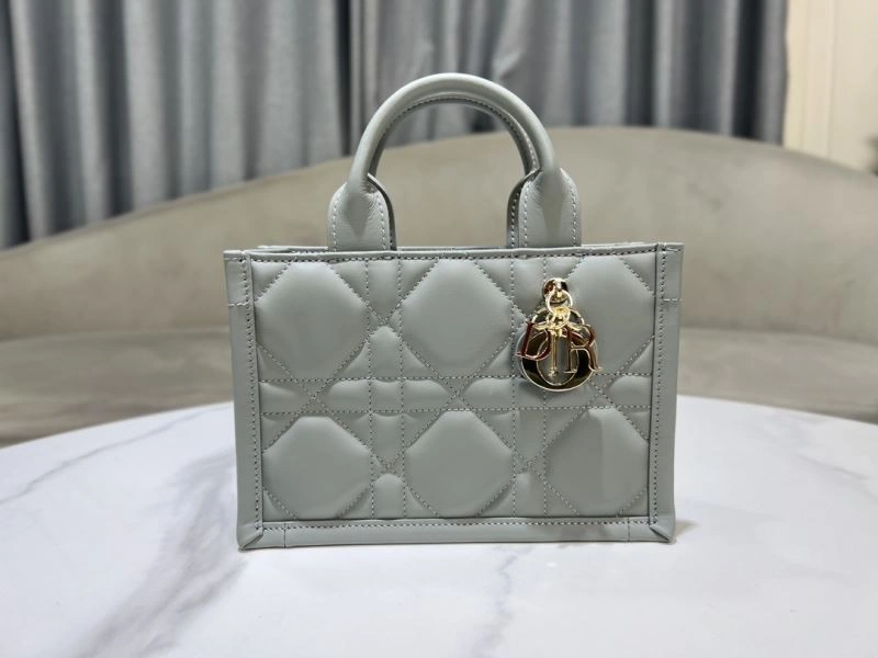 Modern Christian Dior Shopping Bags 70357
