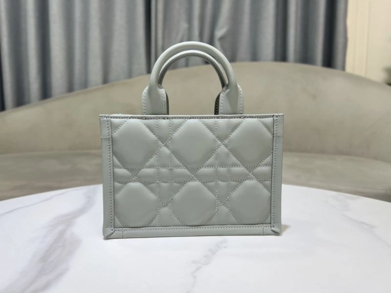 Modern Christian Dior Shopping Bags 70357