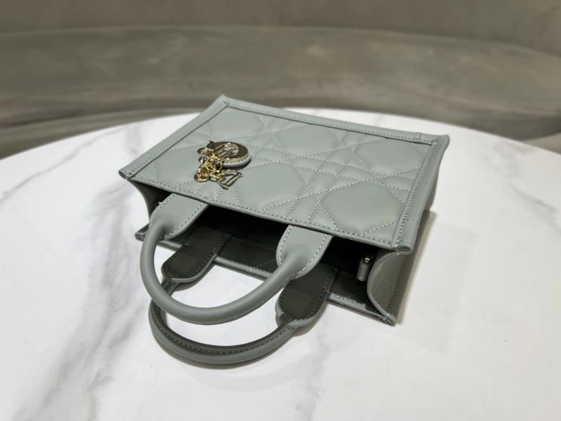 Modern Christian Dior Shopping Bags 70357
