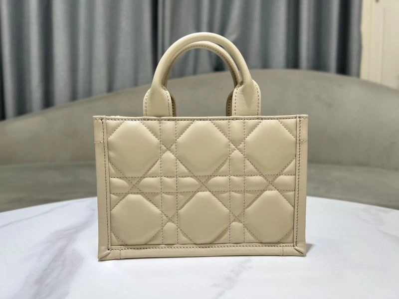 Lightweight Christian Dior Shopping Bags 70365