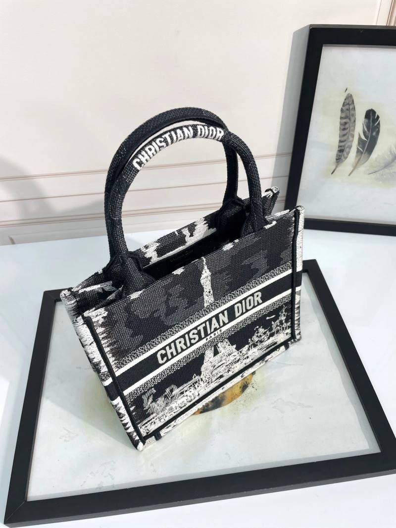 Resilient Christian Dior Shopping Bags 70304