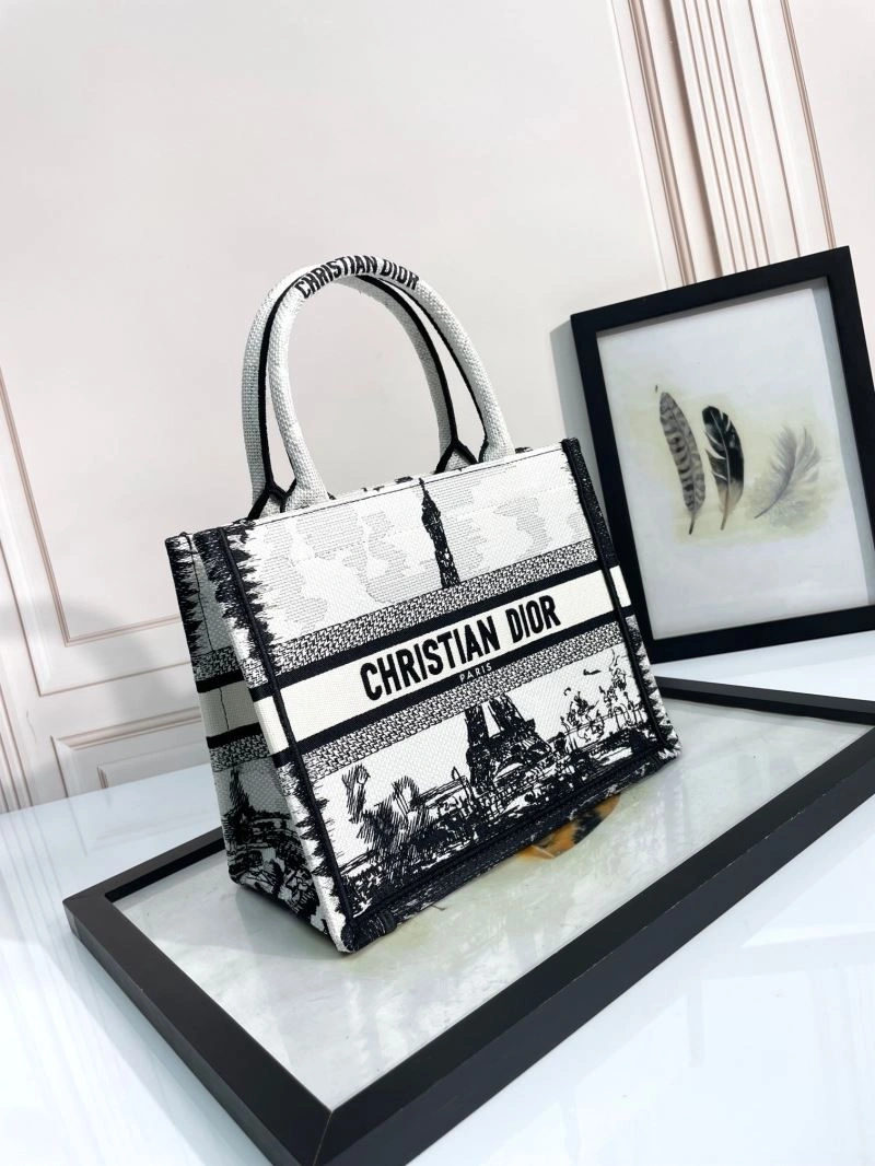 SmoothTexture Christian Dior Shopping Bags 70382