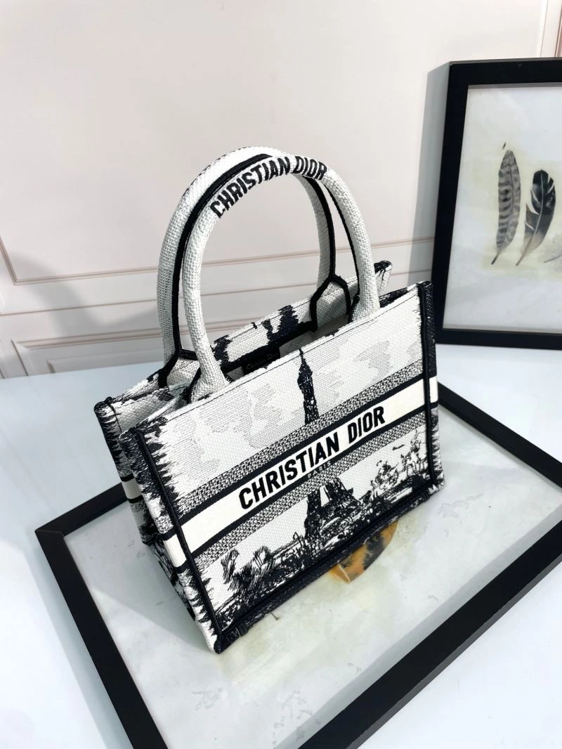 SmoothTexture Christian Dior Shopping Bags 70382