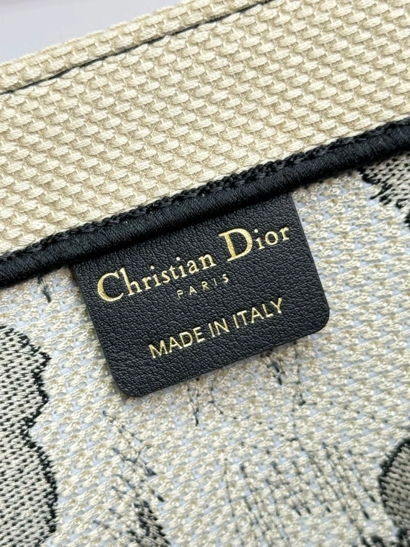 Sleek Christian Dior Shopping Bags 70263