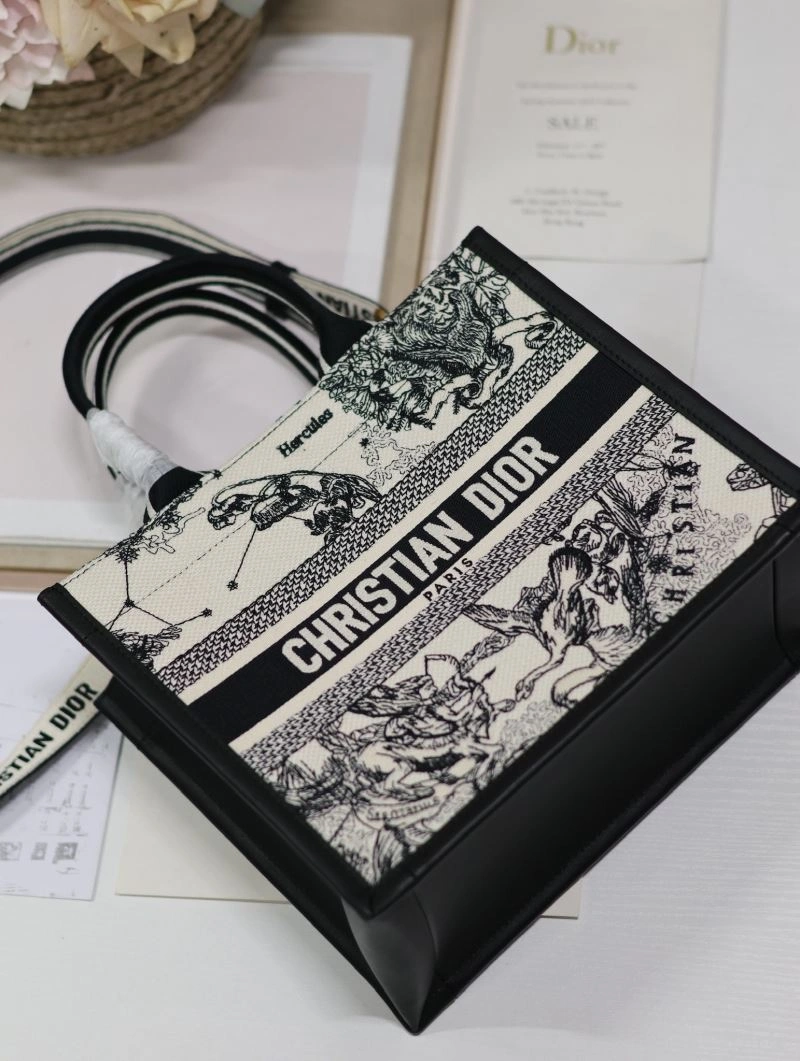 Chic Christian Dior Shopping Bags 70256