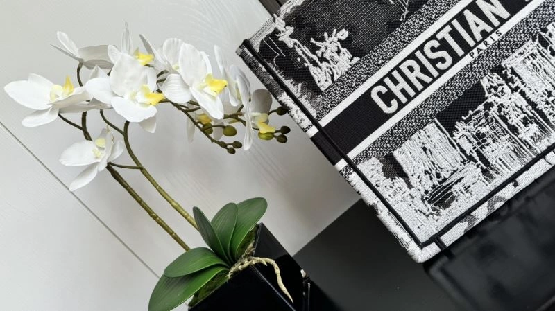 Unique Christian Dior Shopping Bags 70254