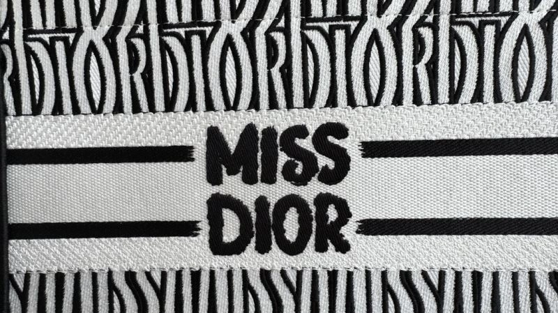 ModernLook Christian Dior Shopping Bags 66658