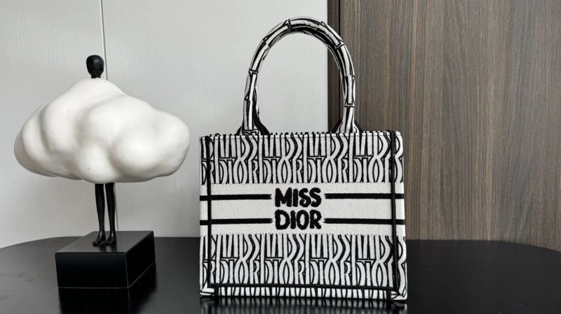 ModernLook Christian Dior Shopping Bags 66658