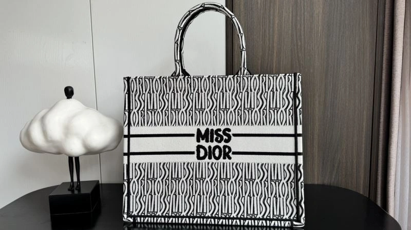 ModernLook Christian Dior Shopping Bags 66654