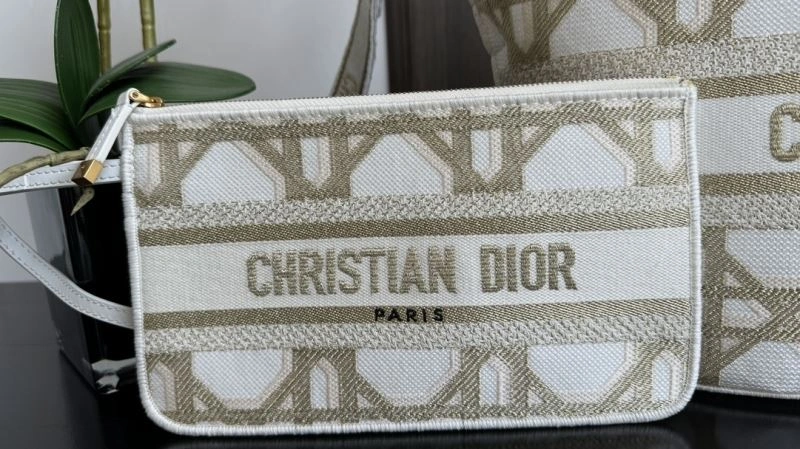 SoftTouch Christian Dior Shopping Bags 66642