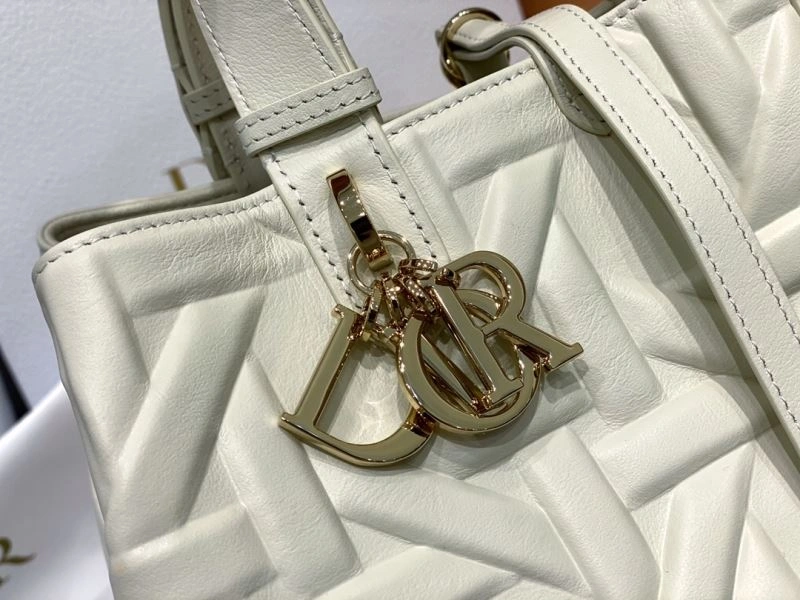 Christian Dior Shopping Bags Fashionable 66621