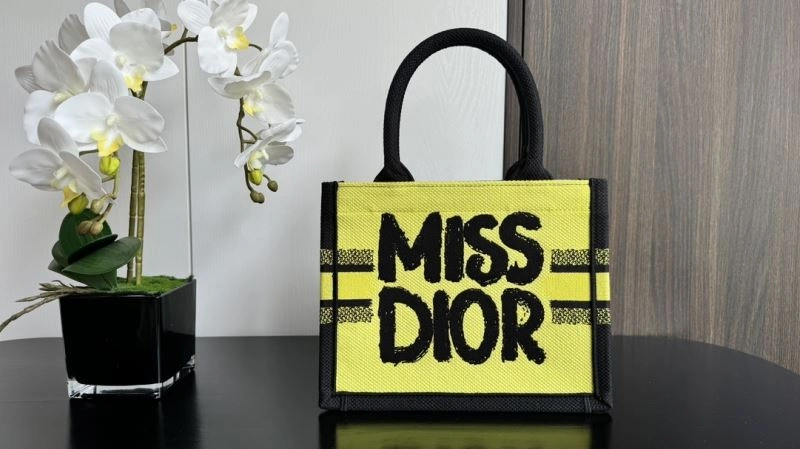 Snug Christian Dior Shopping Bags 66615