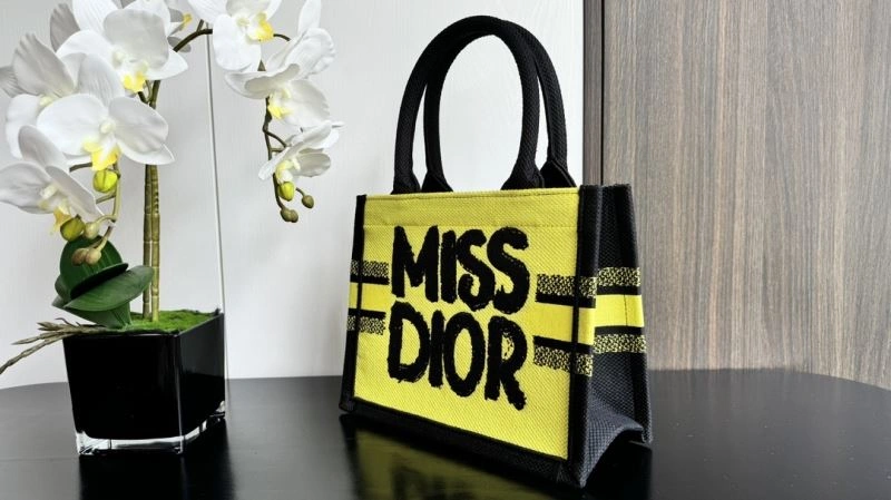 Snug Christian Dior Shopping Bags 66615