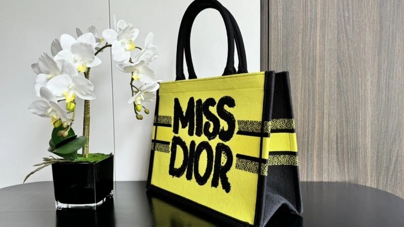 QuickDry Christian Dior Shopping Bags 66612