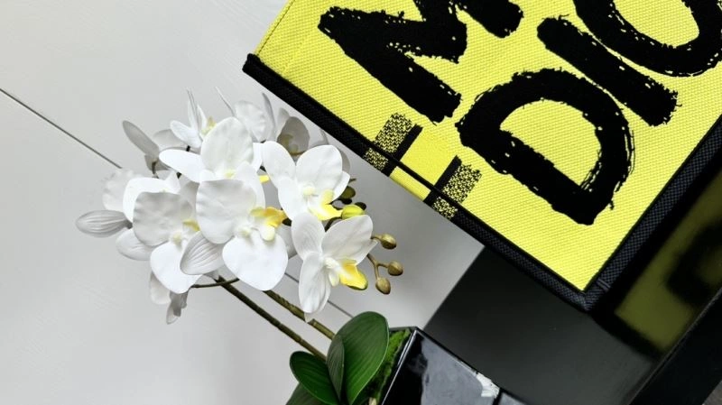 Christian Dior Shopping Bags Contemporary 66608