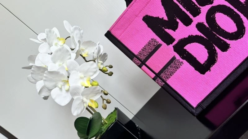 Flexible Christian Dior Shopping Bags 66650
