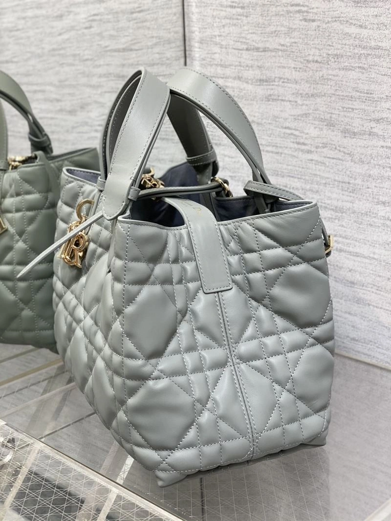 EyeCatching Christian Dior Shopping Bags 66598