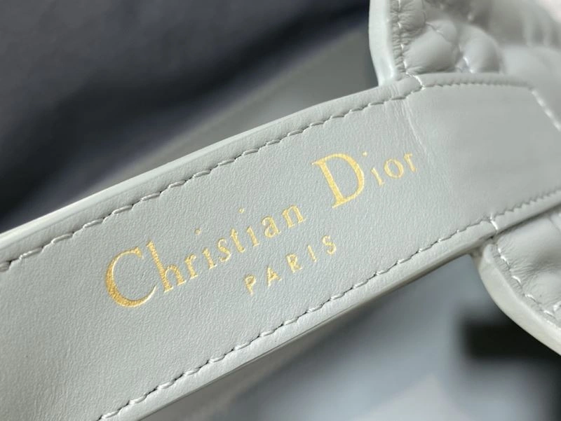 EyeCatching Christian Dior Shopping Bags 66598