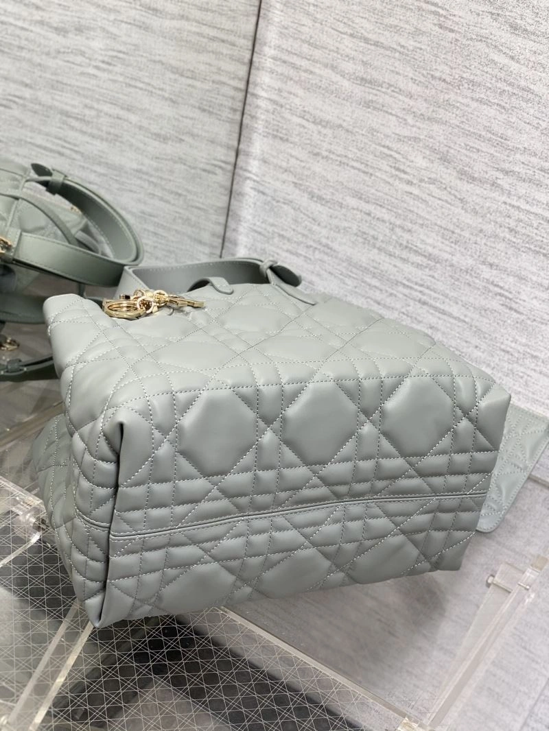 EyeCatching Christian Dior Shopping Bags 66598
