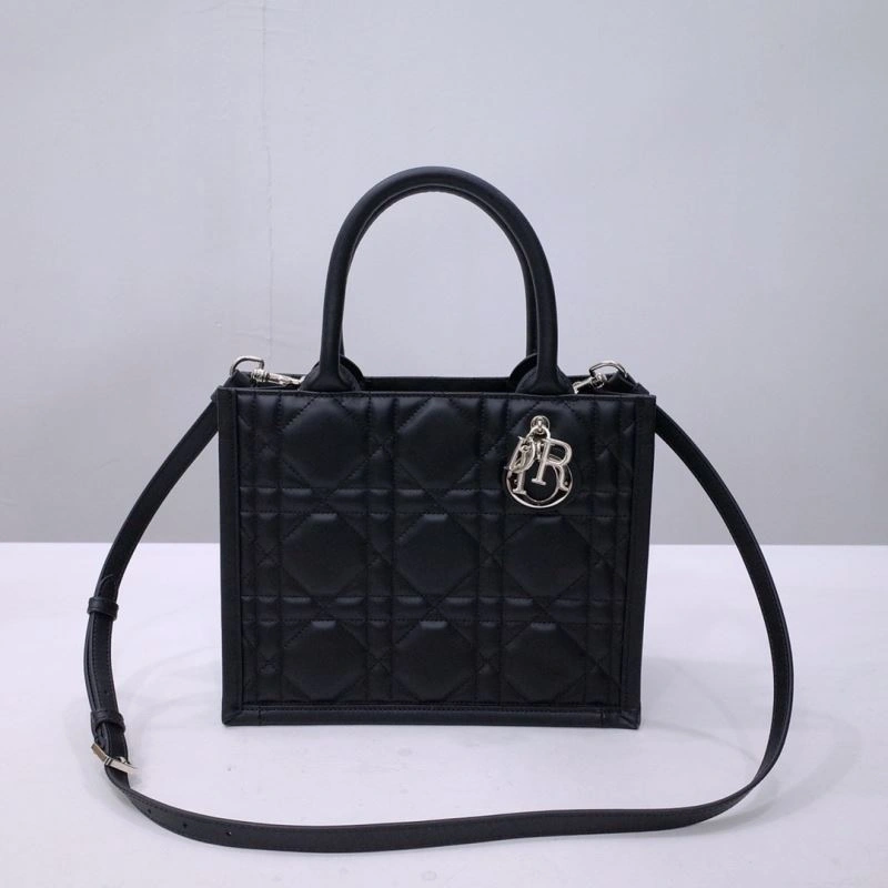 Sleek Christian Dior Shopping Bags 66676