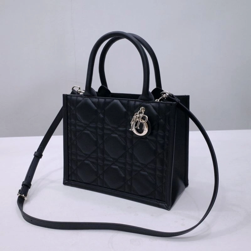 Sleek Christian Dior Shopping Bags 66676