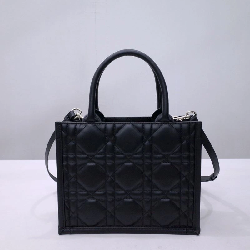 Sleek Christian Dior Shopping Bags 66676