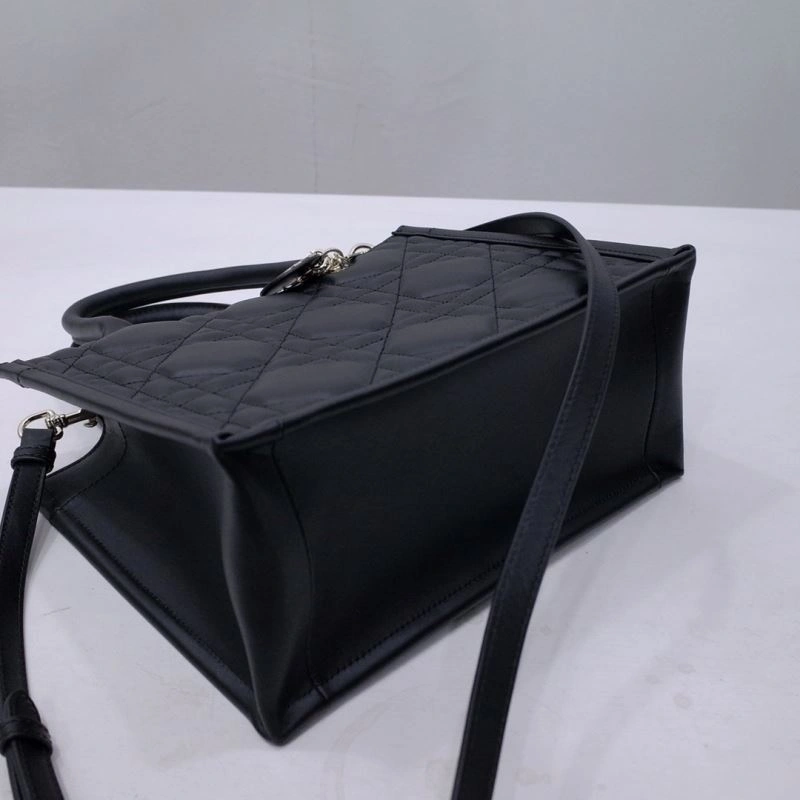 Sleek Christian Dior Shopping Bags 66676