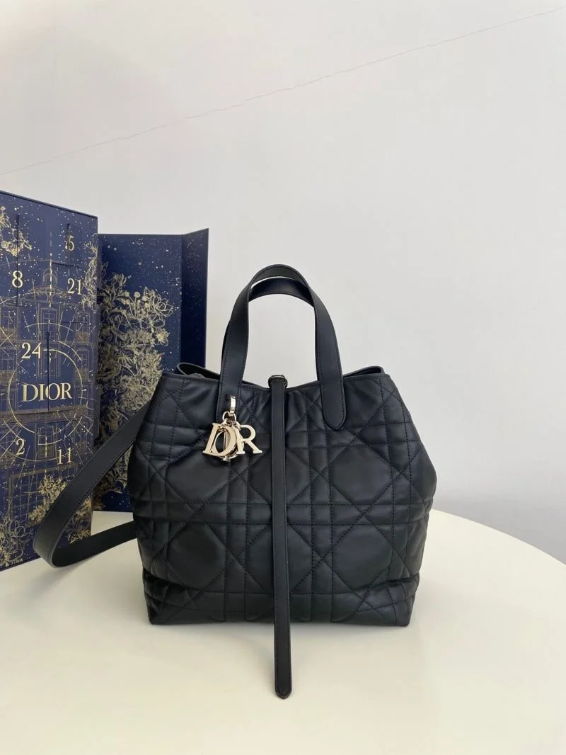 GoAnywhere Christian Dior Shopping Bags 47137