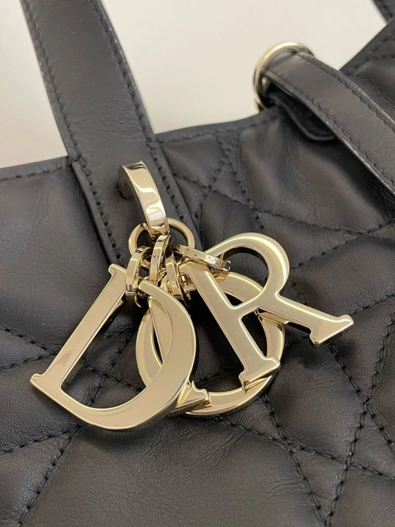 GoAnywhere Christian Dior Shopping Bags 47137
