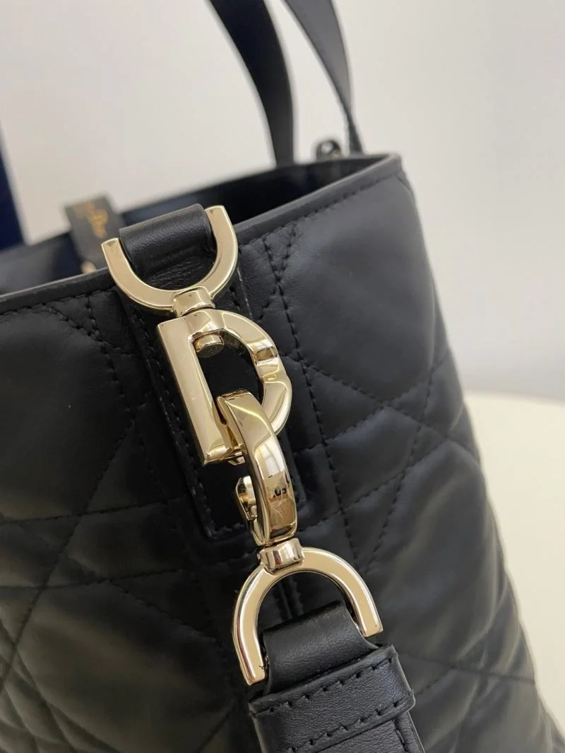 GoAnywhere Christian Dior Shopping Bags 47137