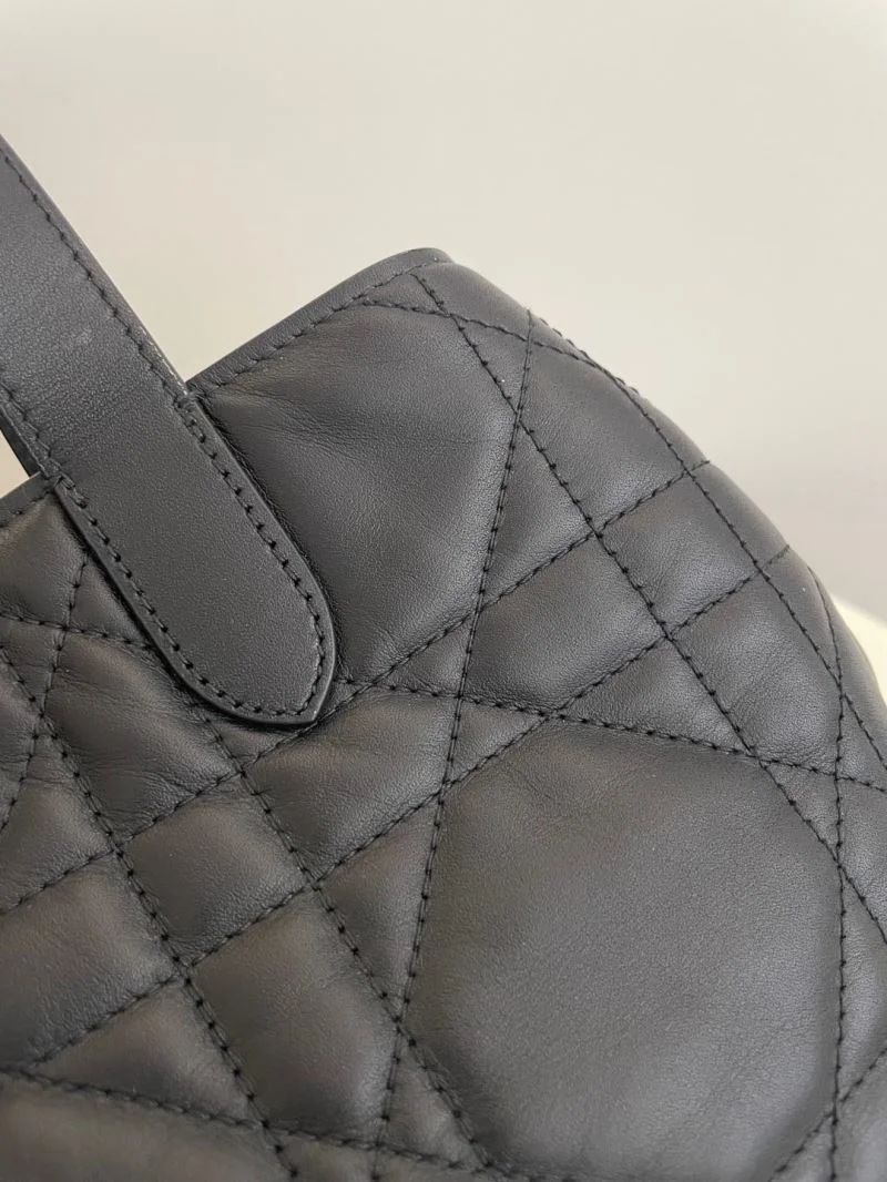 GoAnywhere Christian Dior Shopping Bags 47137