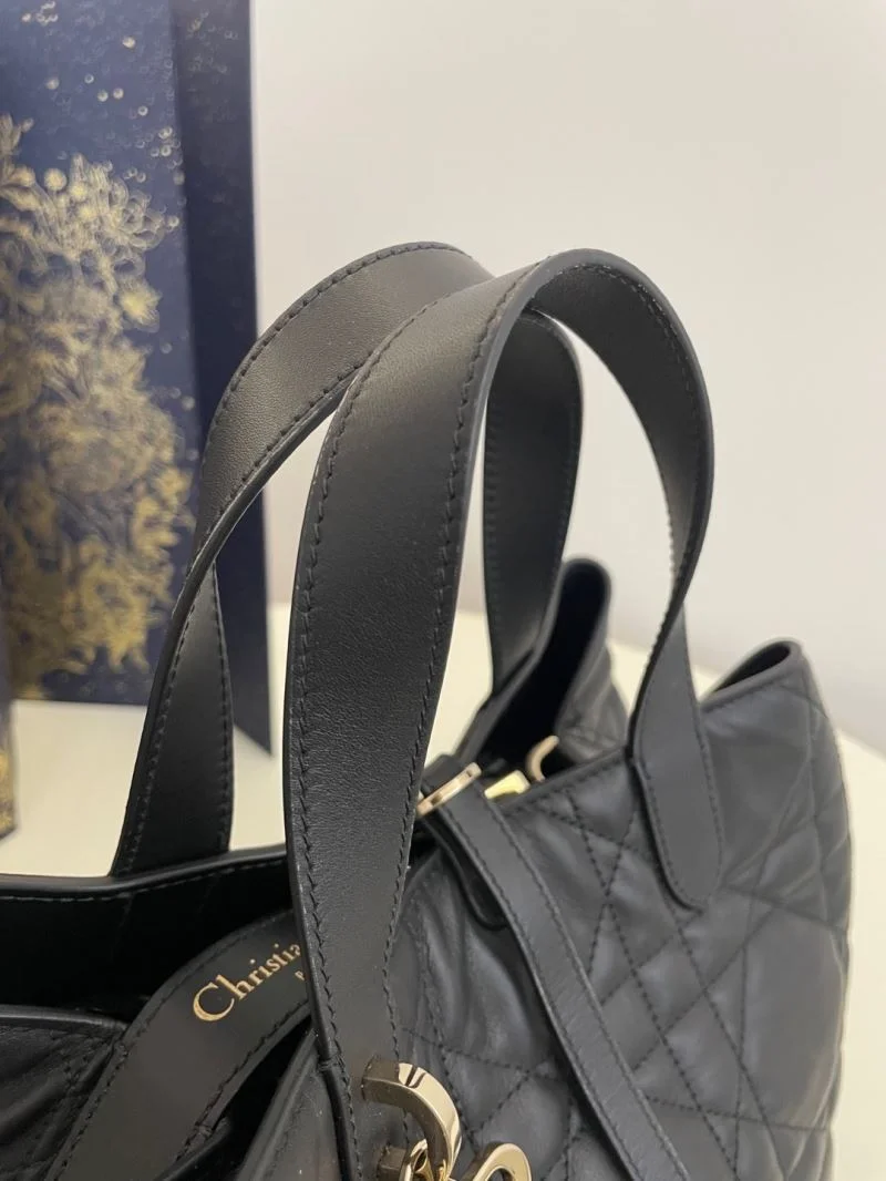 GoAnywhere Christian Dior Shopping Bags 47137