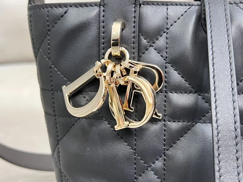 FlexibleFit Christian Dior Shopping Bags 47123
