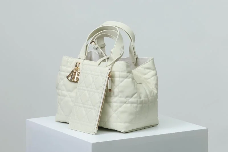 SmoothTexture Christian Dior Shopping Bags 47090
